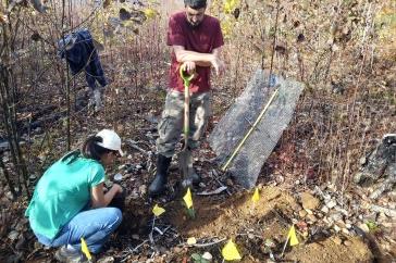 Two researchers (1 male standing, holding a shovel, 1 female squatting next to a whole) work in a prescribed burn site to plant potted red oak trees.